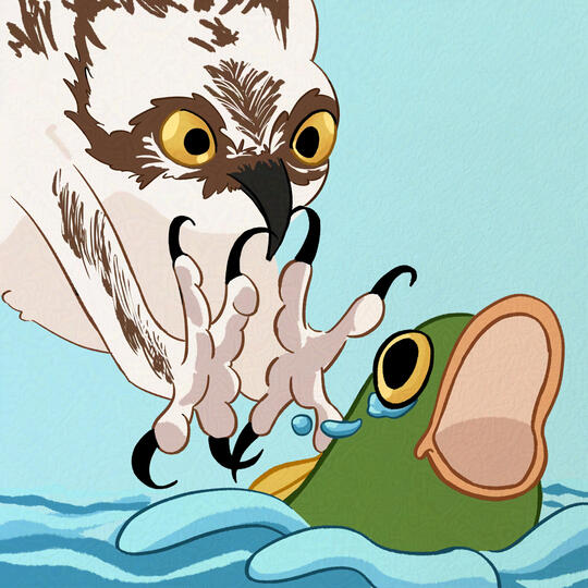 Thank God I&#39;m Not A Fish